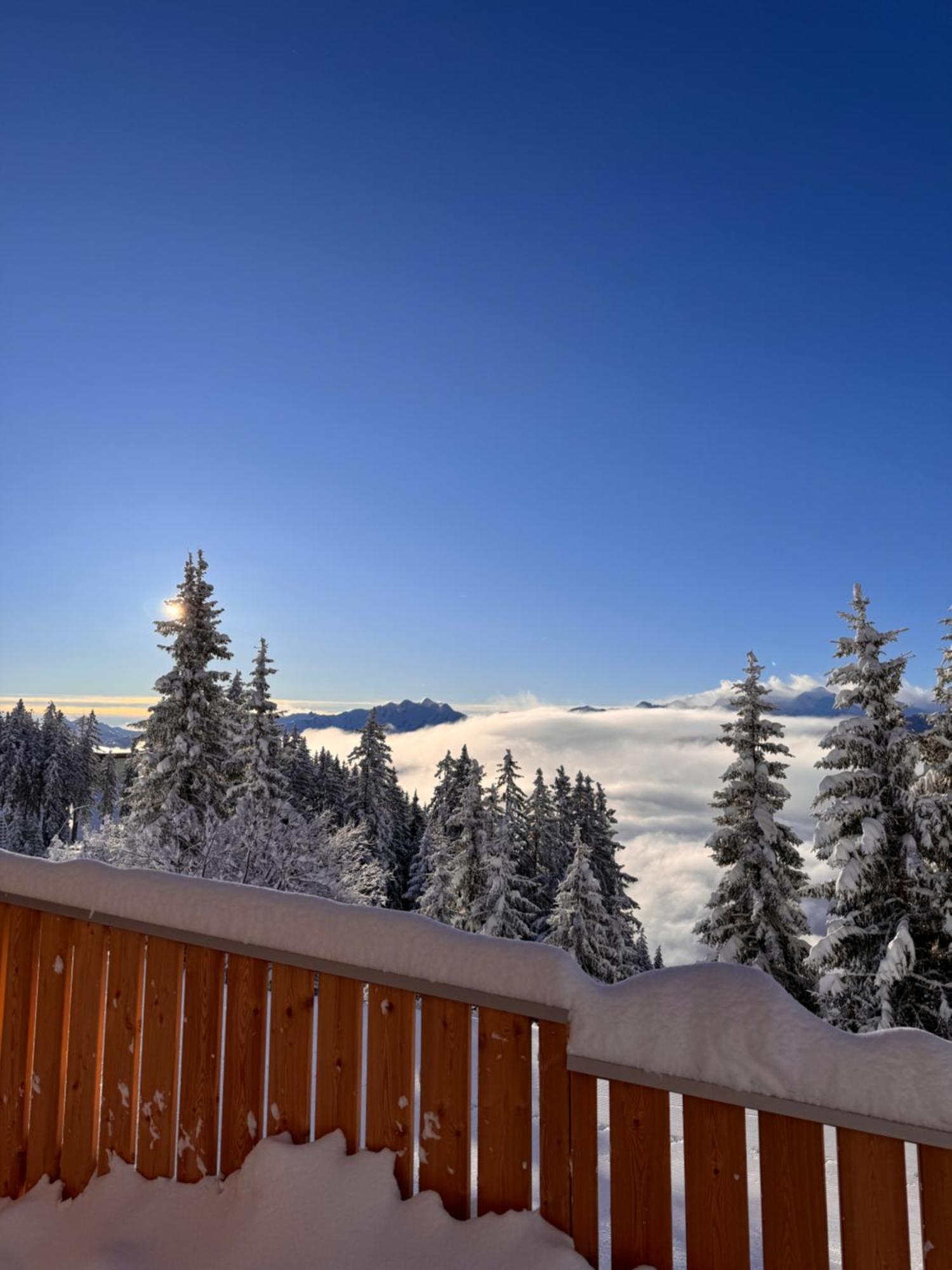 Glockneralm - Exklusiv Erreichbar Mit Skilift Zell am See